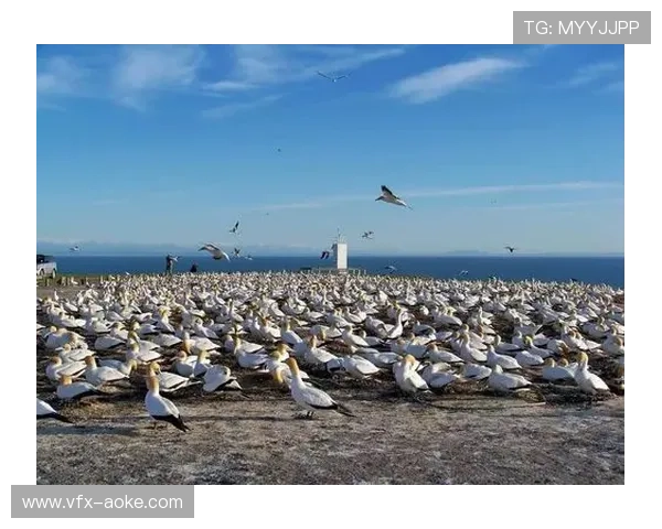 布莱恩德尚博长打优势明显，鹌鹑谷球场设计适合其技术特点